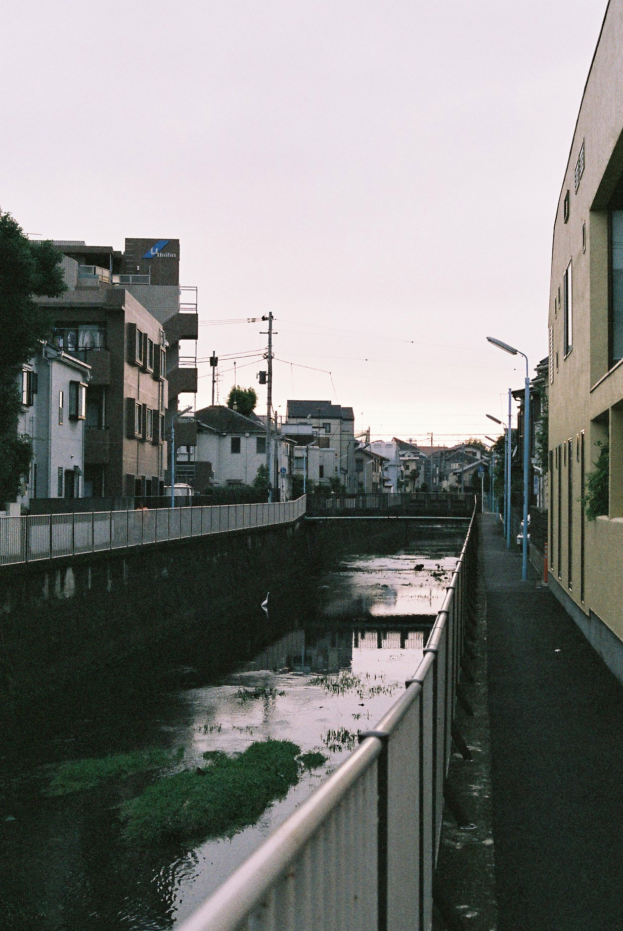 Archillect ID 357721