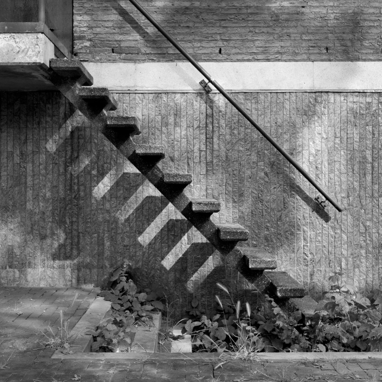 Archillect ID 357772