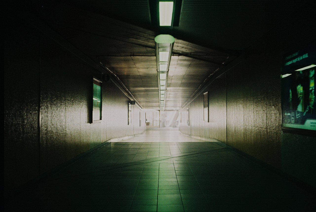 Archillect ID 357852