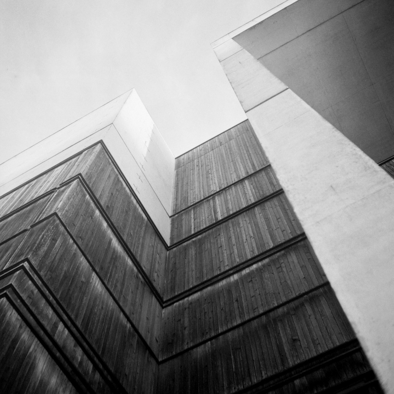 Archillect ID 359508