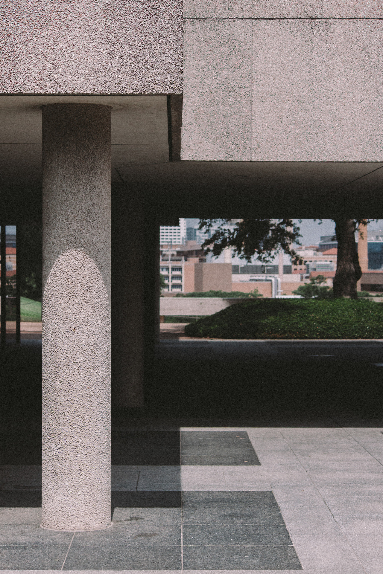 Archillect ID 359577