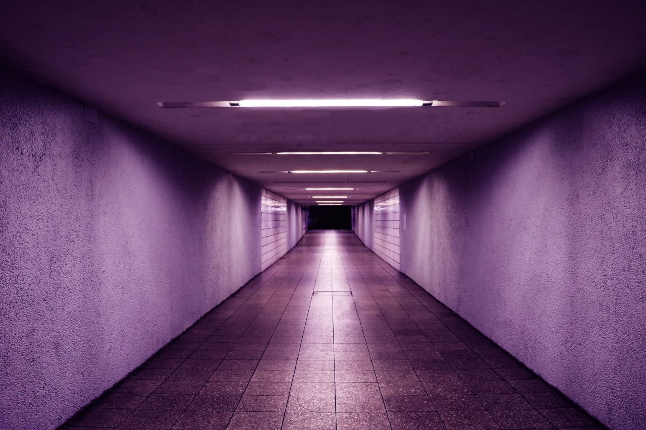 Archillect ID 359849