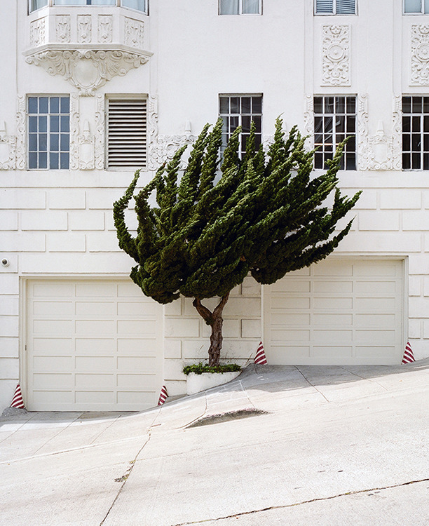 Archillect ID 360210