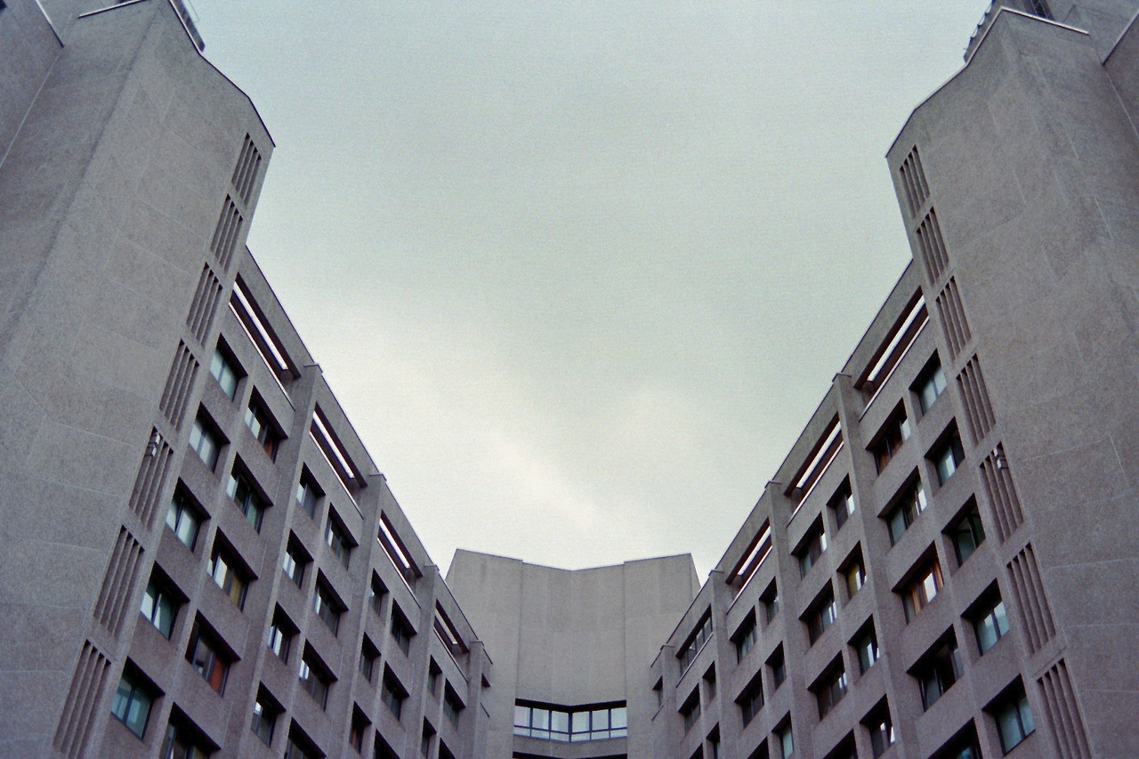Archillect ID 360226