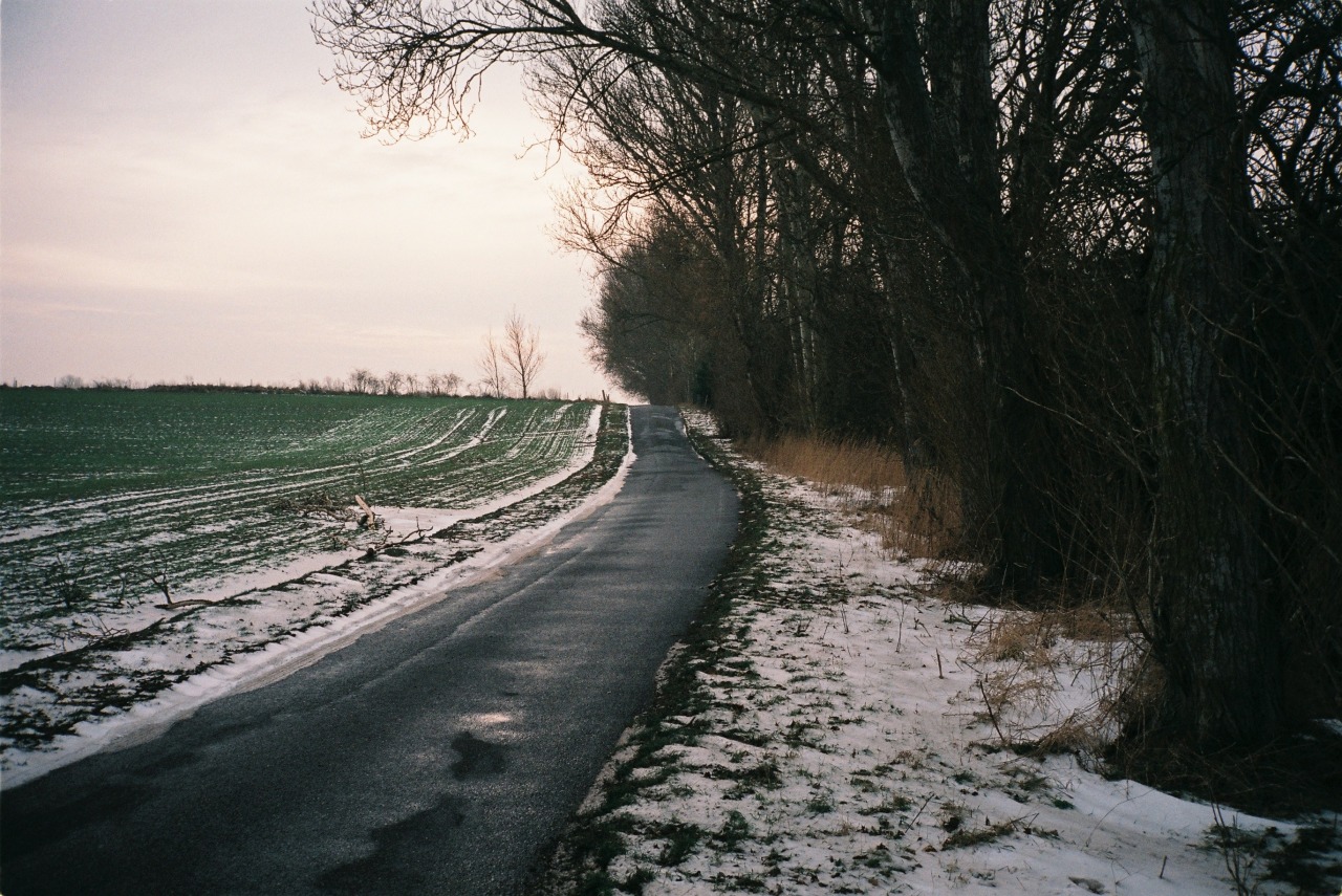 Archillect ID 360378