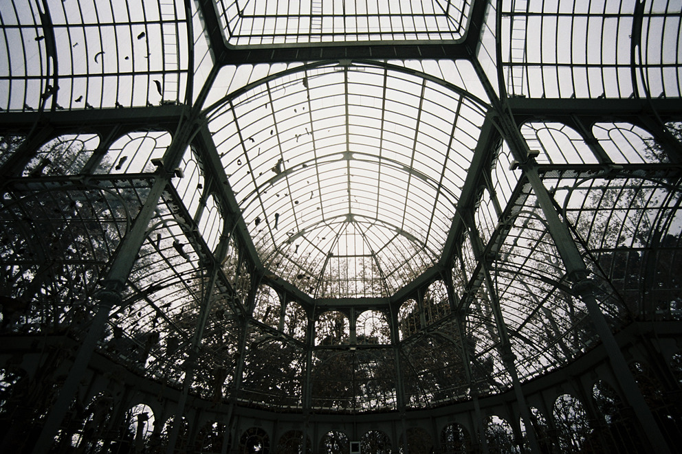 Archillect ID 360519