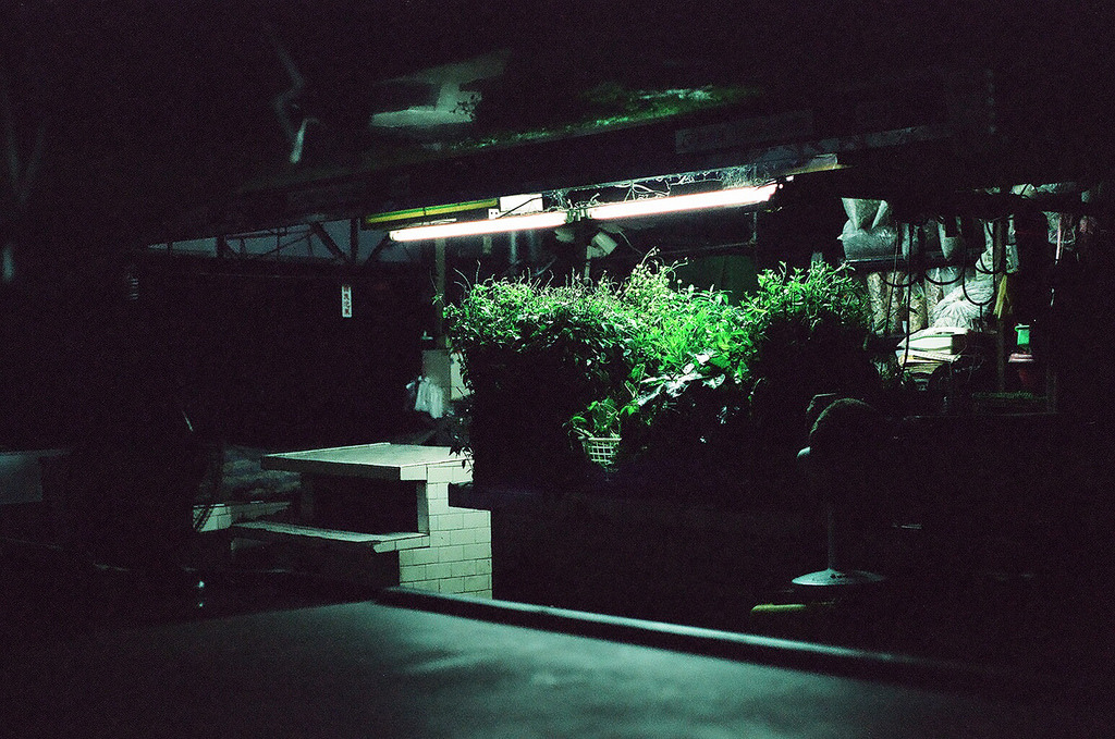 Archillect ID 360617
