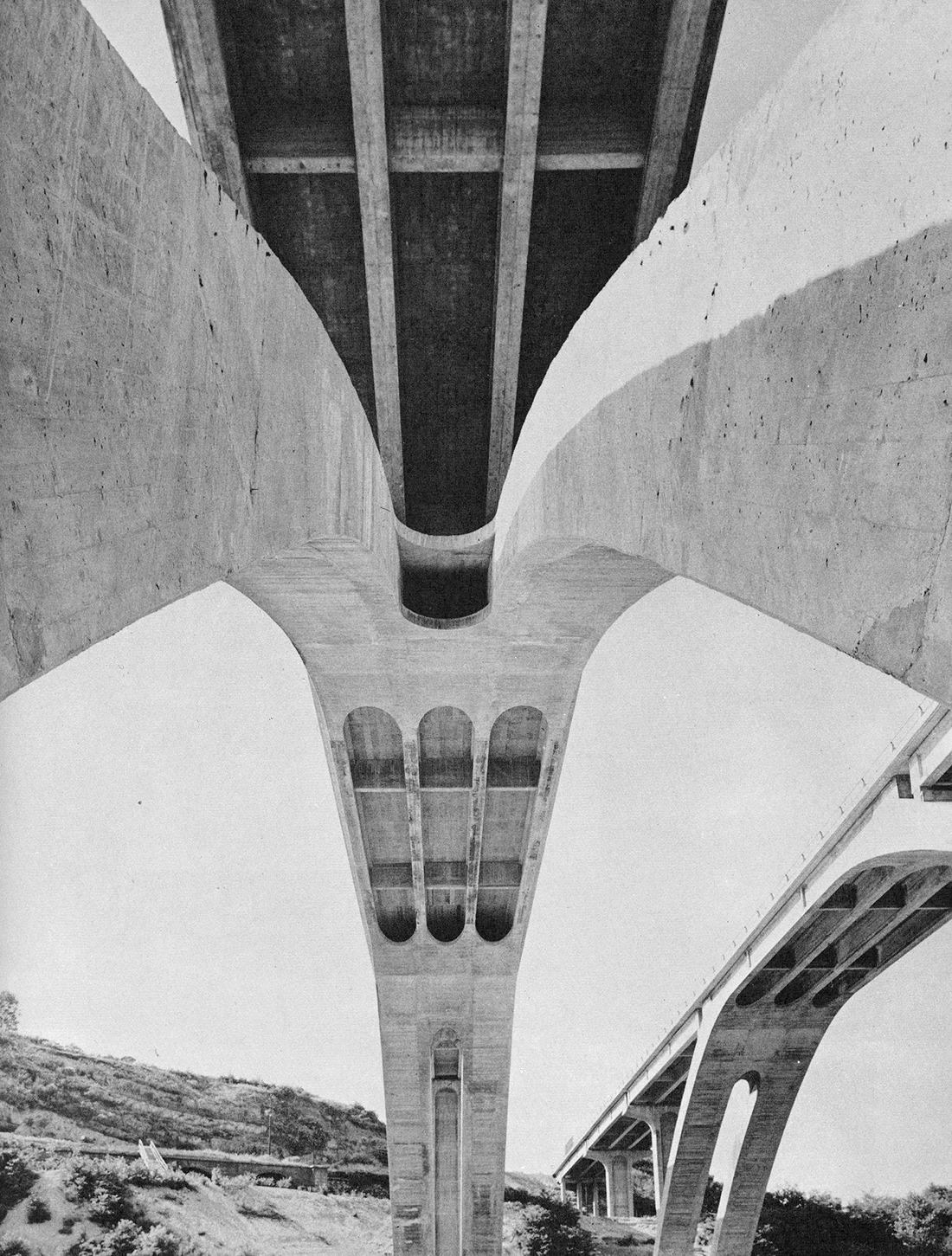 Archillect ID 360716