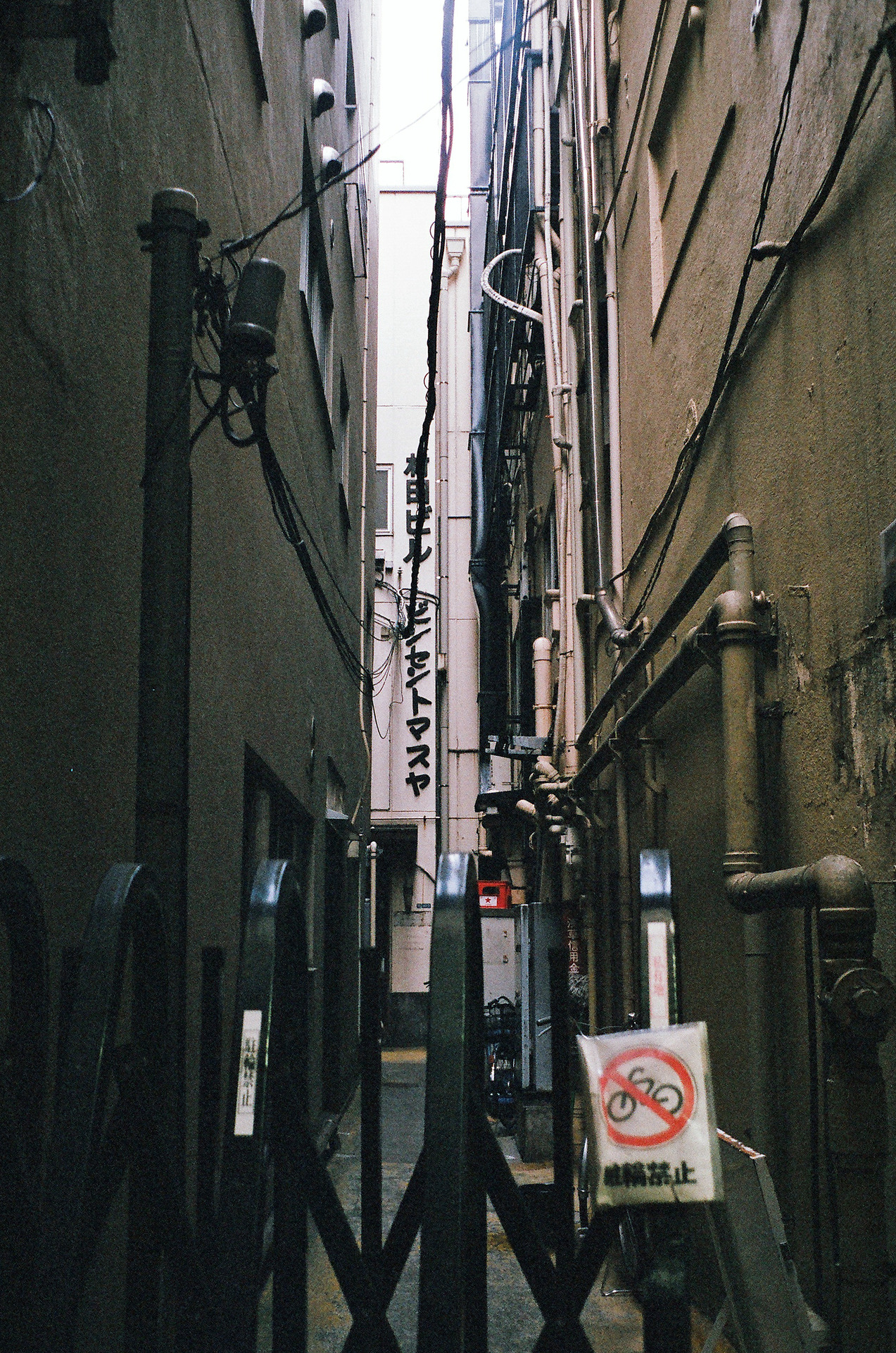 Archillect ID 360722