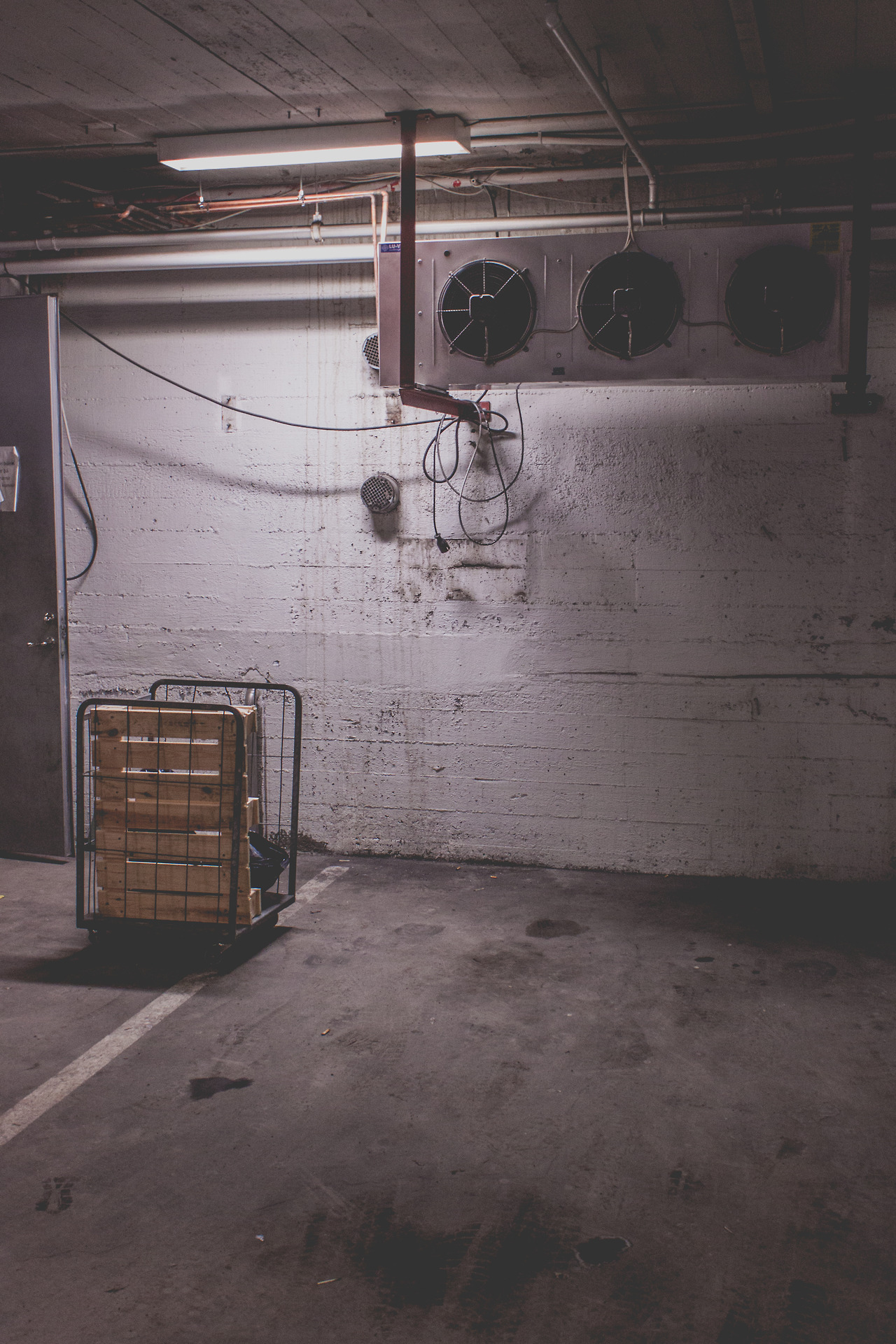 Archillect ID 360831