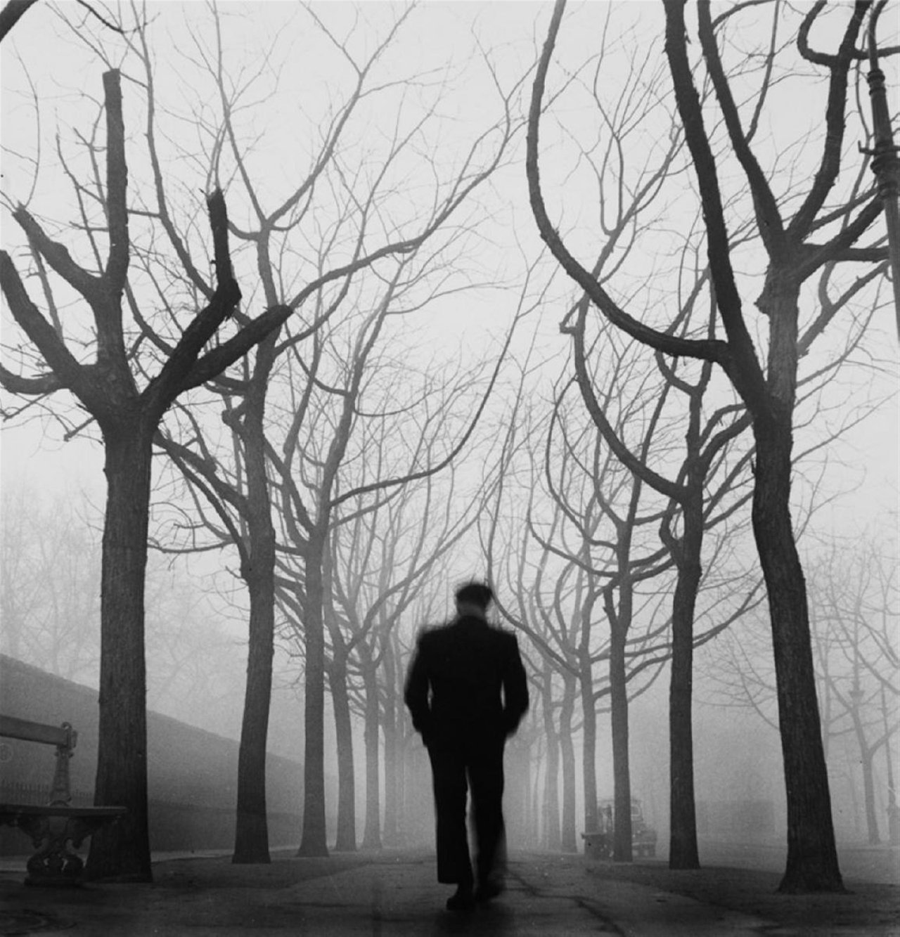 Archillect ID 360930