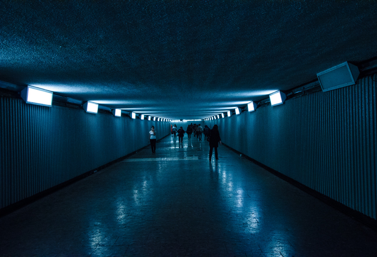 Archillect ID 360997