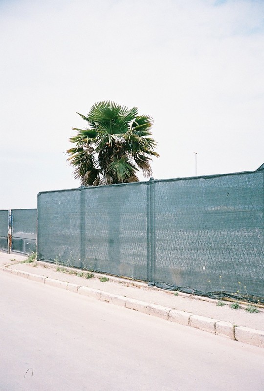 Archillect ID 361077
