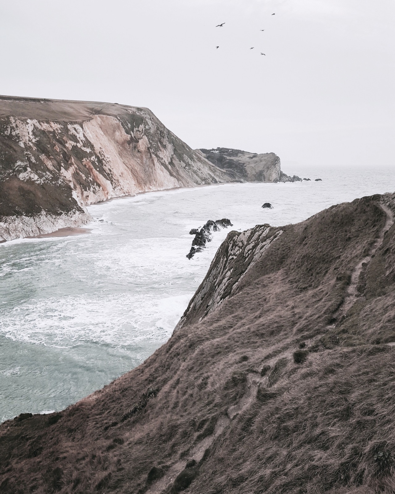 Archillect ID 361318