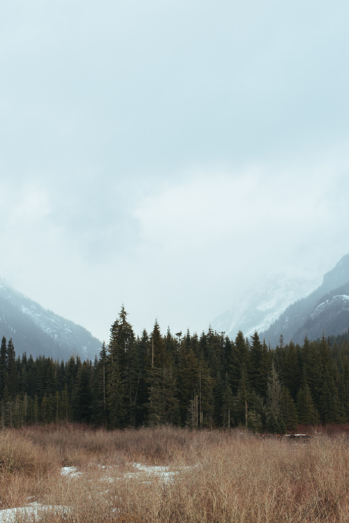 Archillect ID 361346