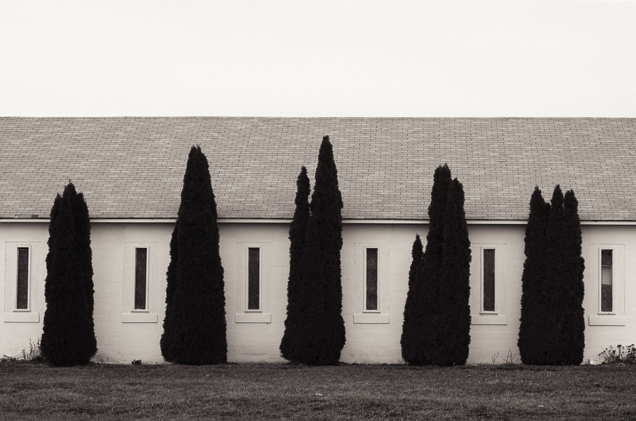 Archillect ID 361461