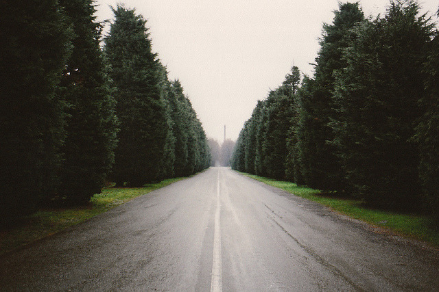 Archillect ID 361585