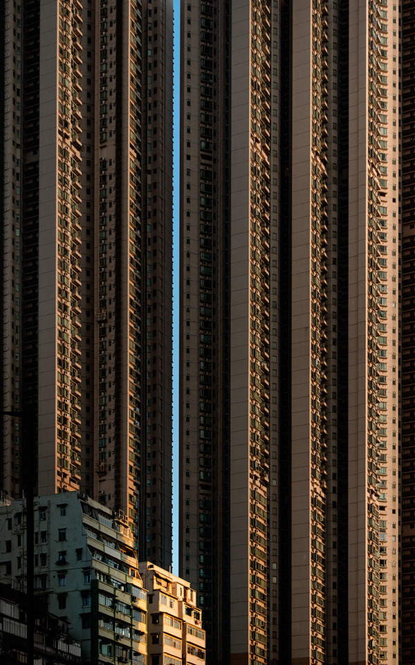 Archillect ID 361764