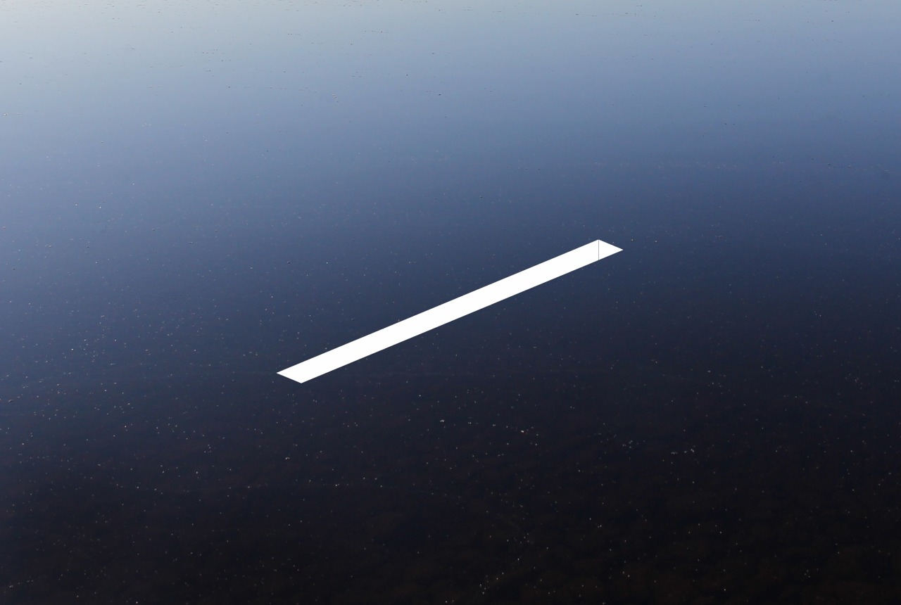 Archillect ID 361996