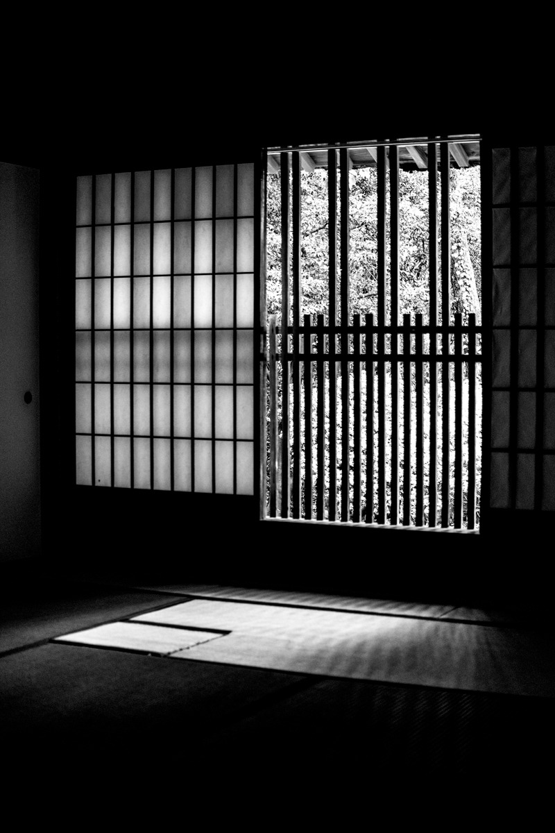 Archillect ID 362020