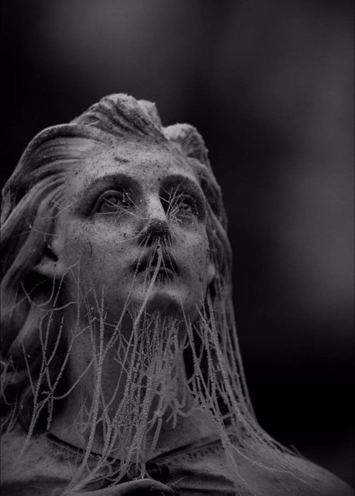 Archillect ID 362244