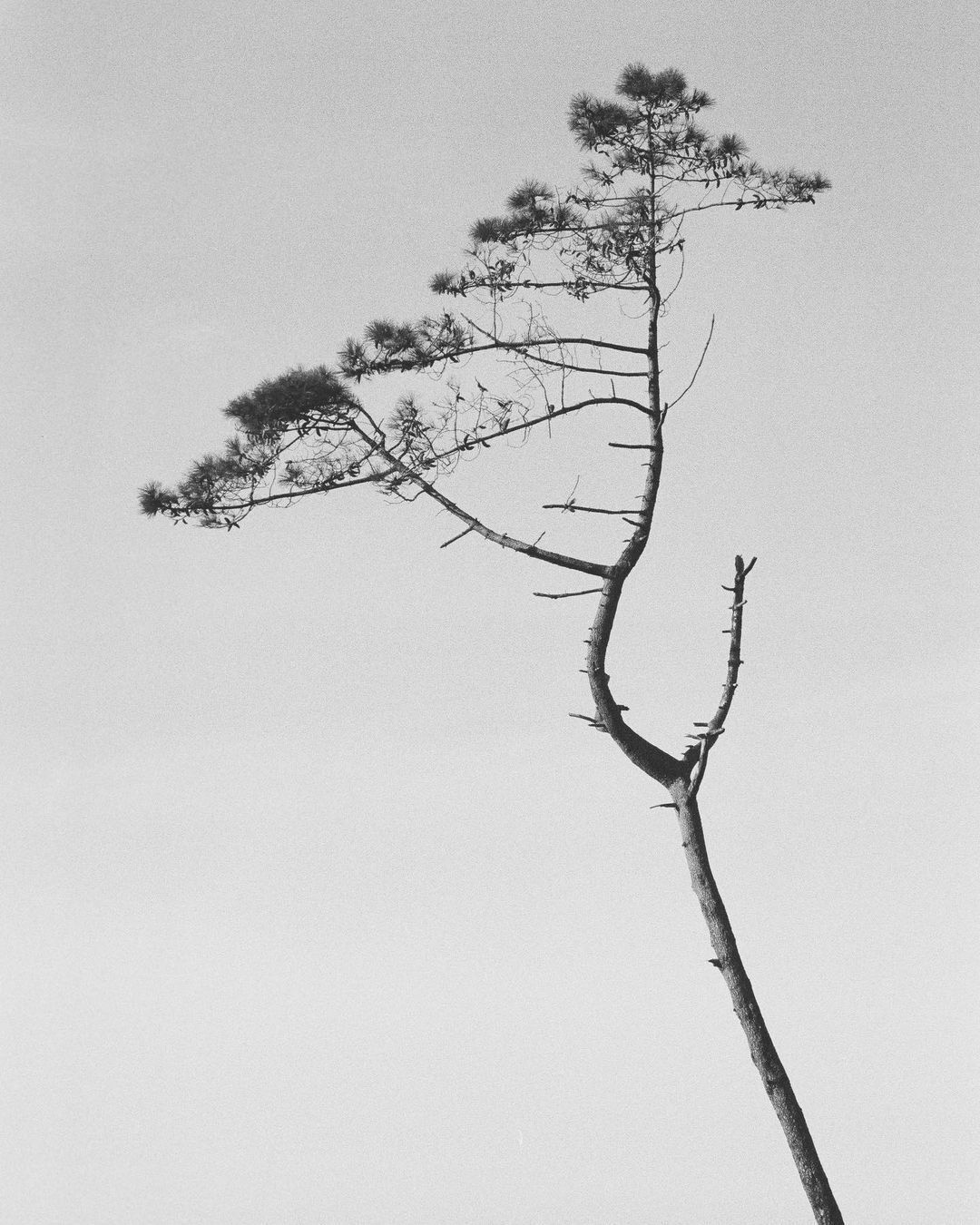 Archillect ID 362374