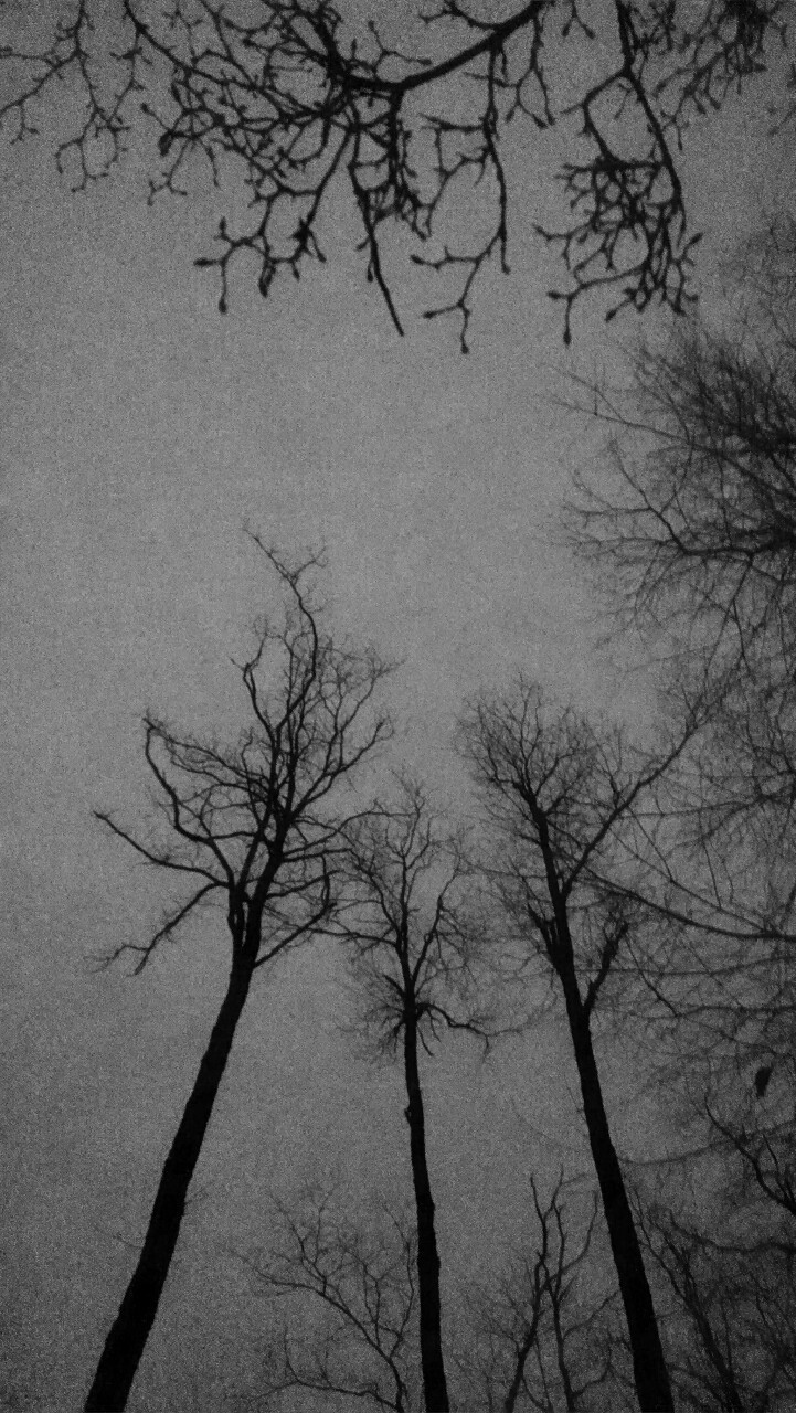 Archillect ID 362599
