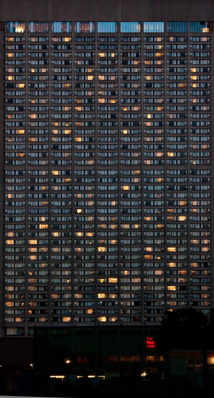 Archillect ID 362921