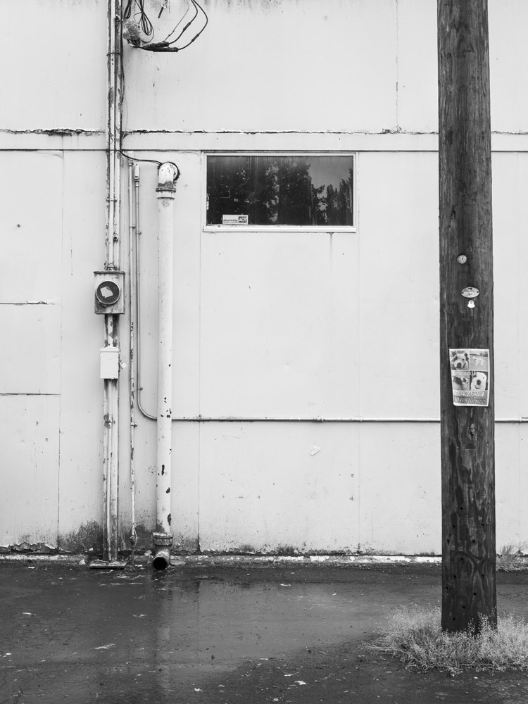Archillect ID 362985