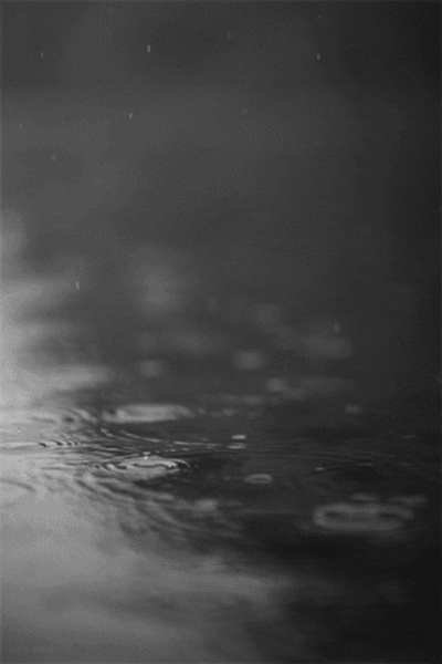Archillect ID 363202