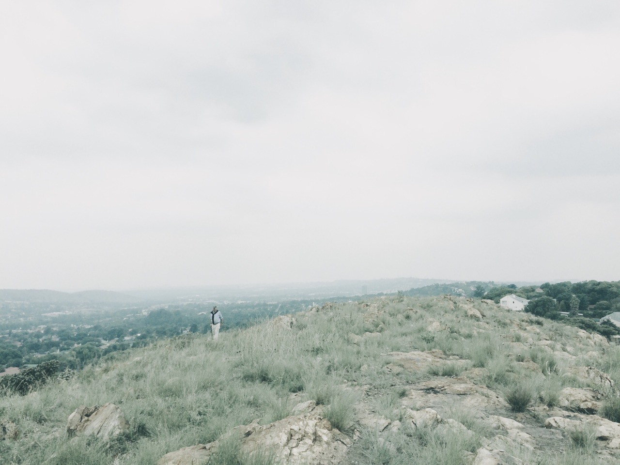 Archillect ID 363408