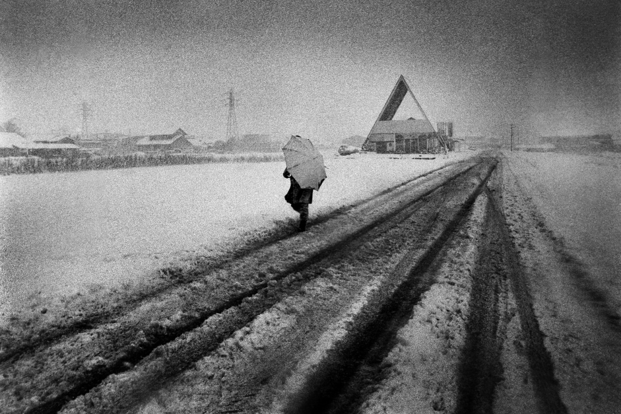 Archillect ID 363516