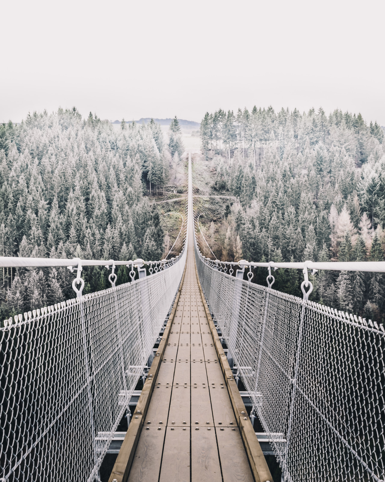 Archillect ID 363652