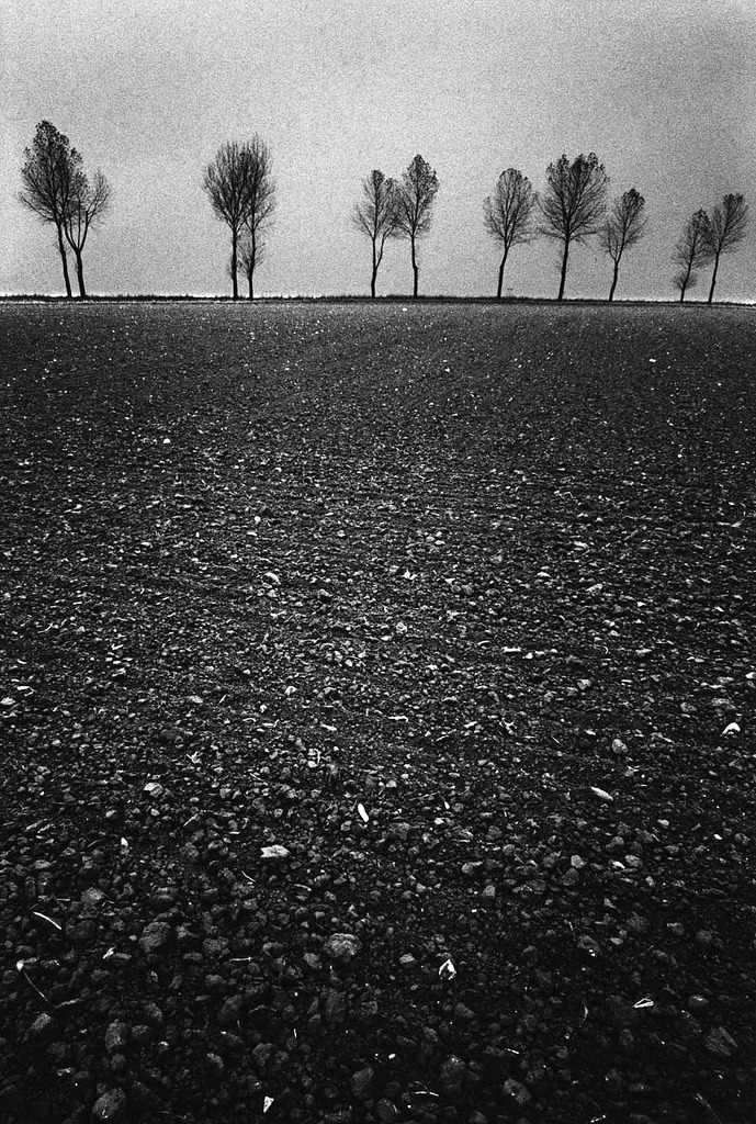 Archillect ID 363705