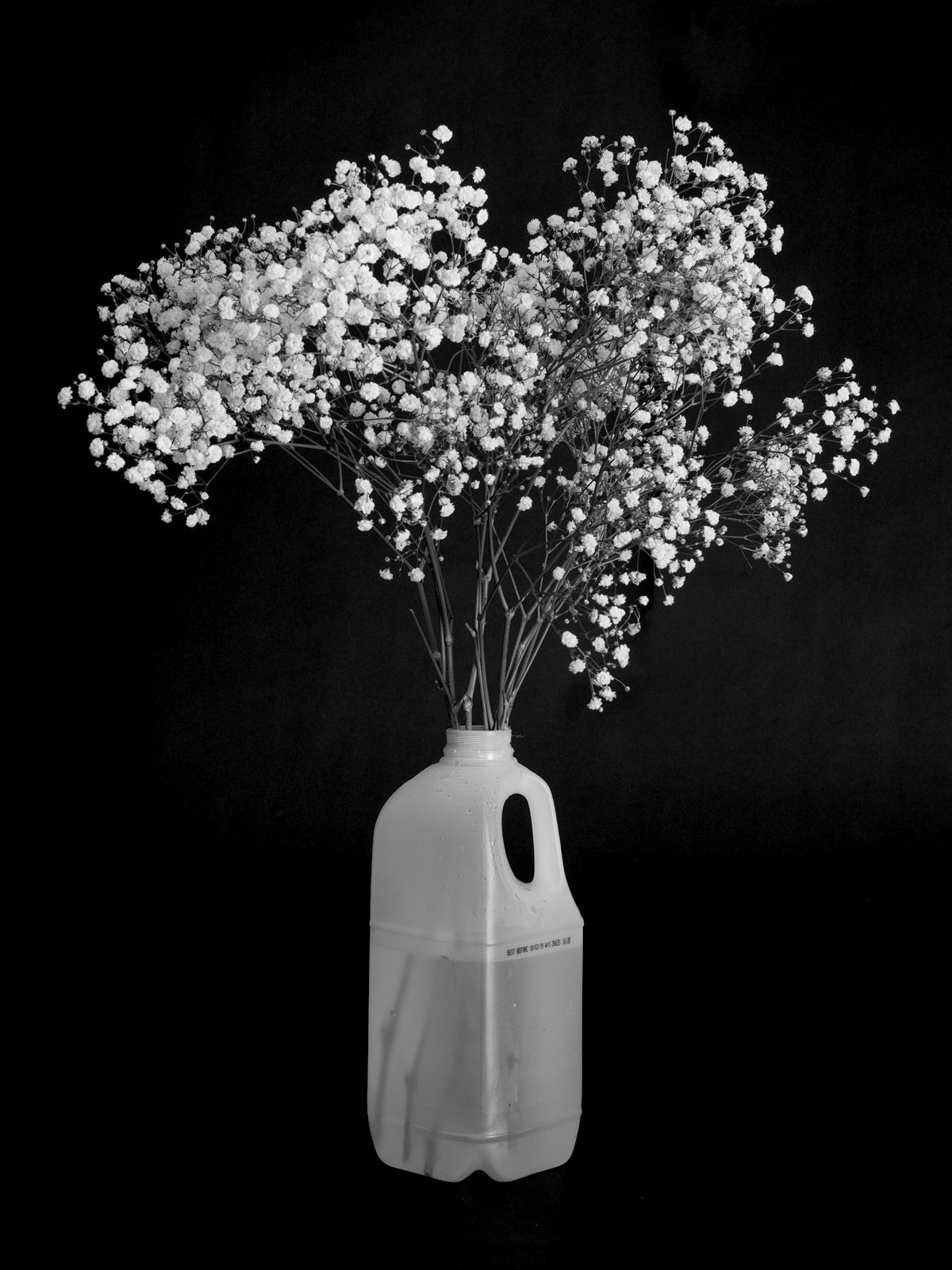 Archillect ID 364002