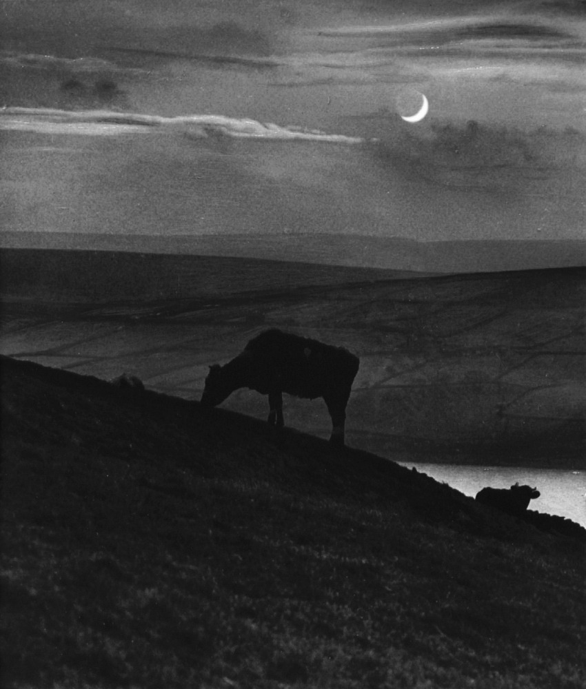 Archillect ID 364028