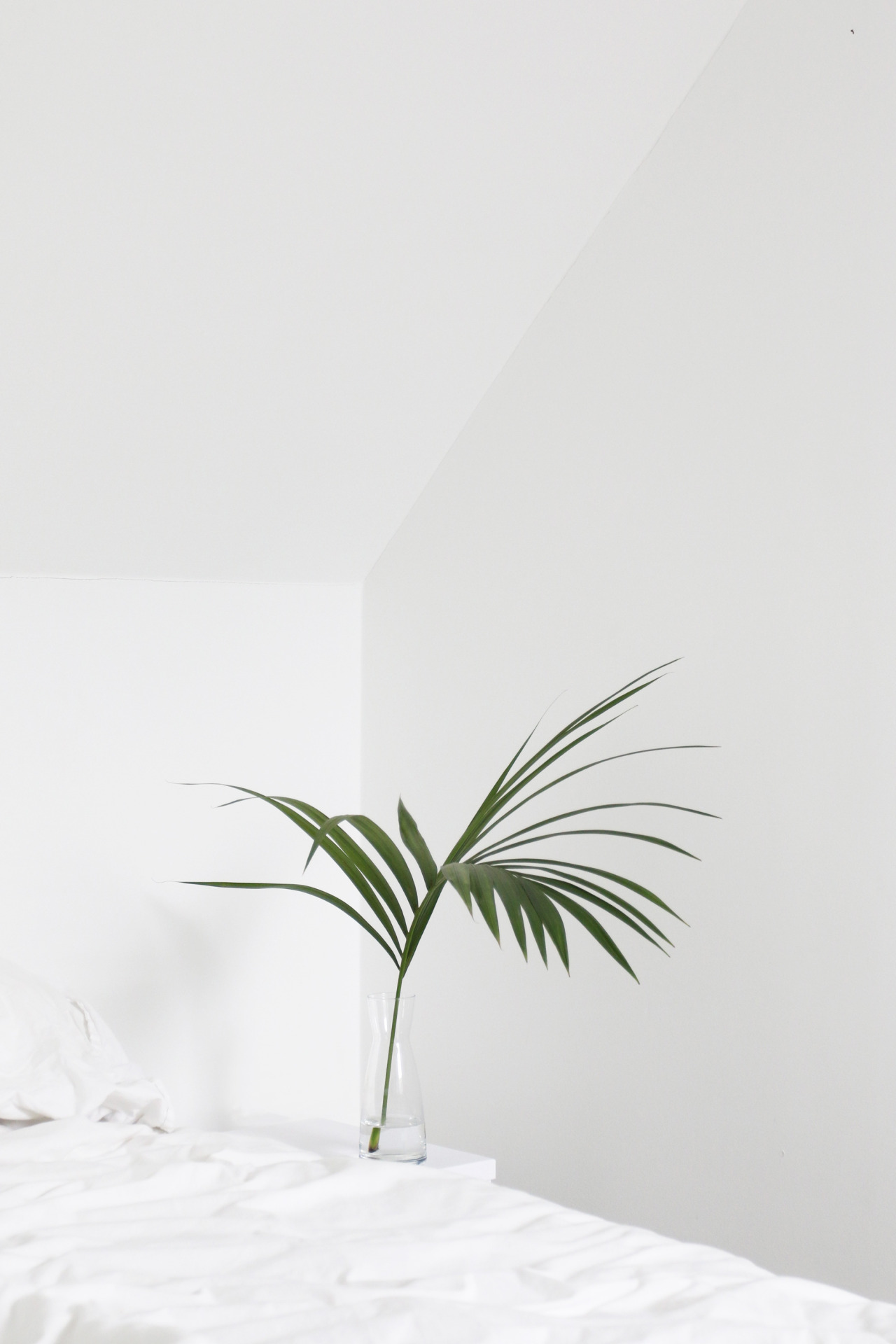 Archillect ID 364192
