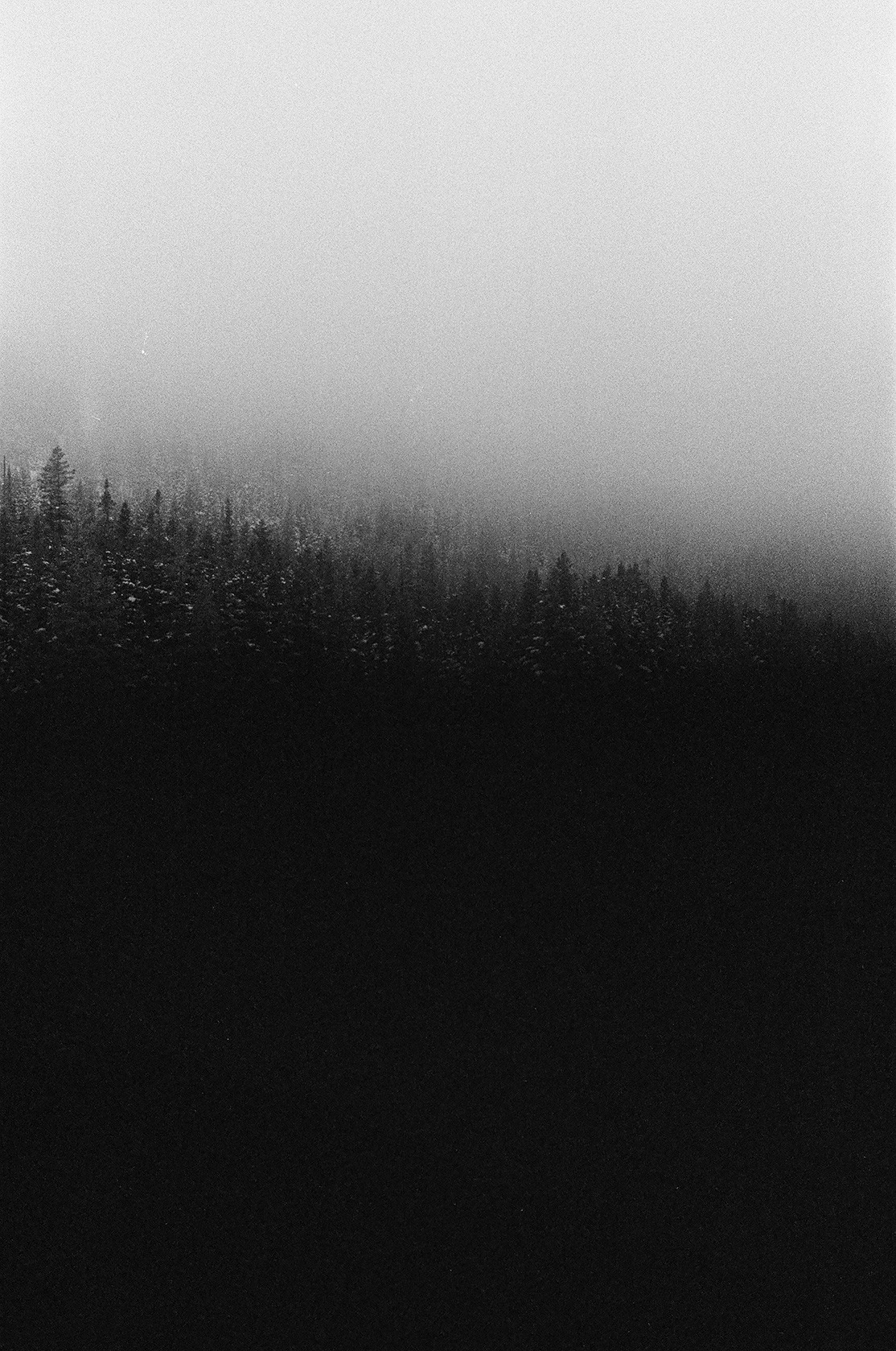 Archillect ID 364746