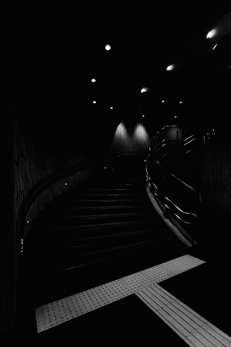 Archillect ID 365072