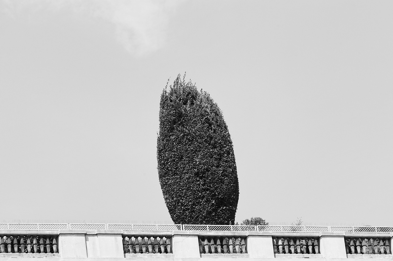 Archillect ID 365080