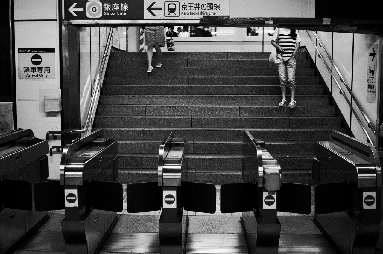 Archillect ID 365291