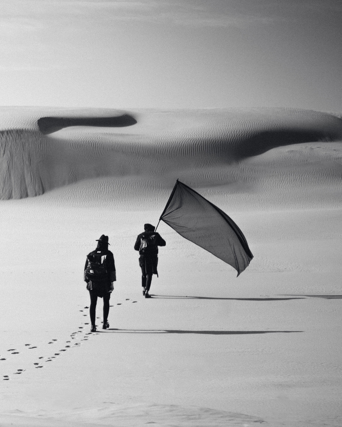 Archillect ID 365351