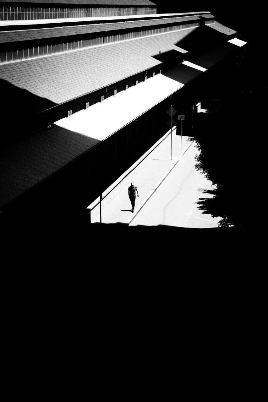 Archillect ID 366364