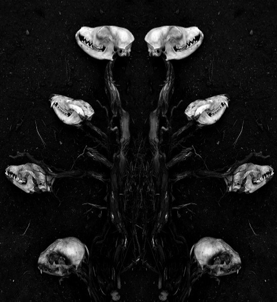 Archillect ID 366493