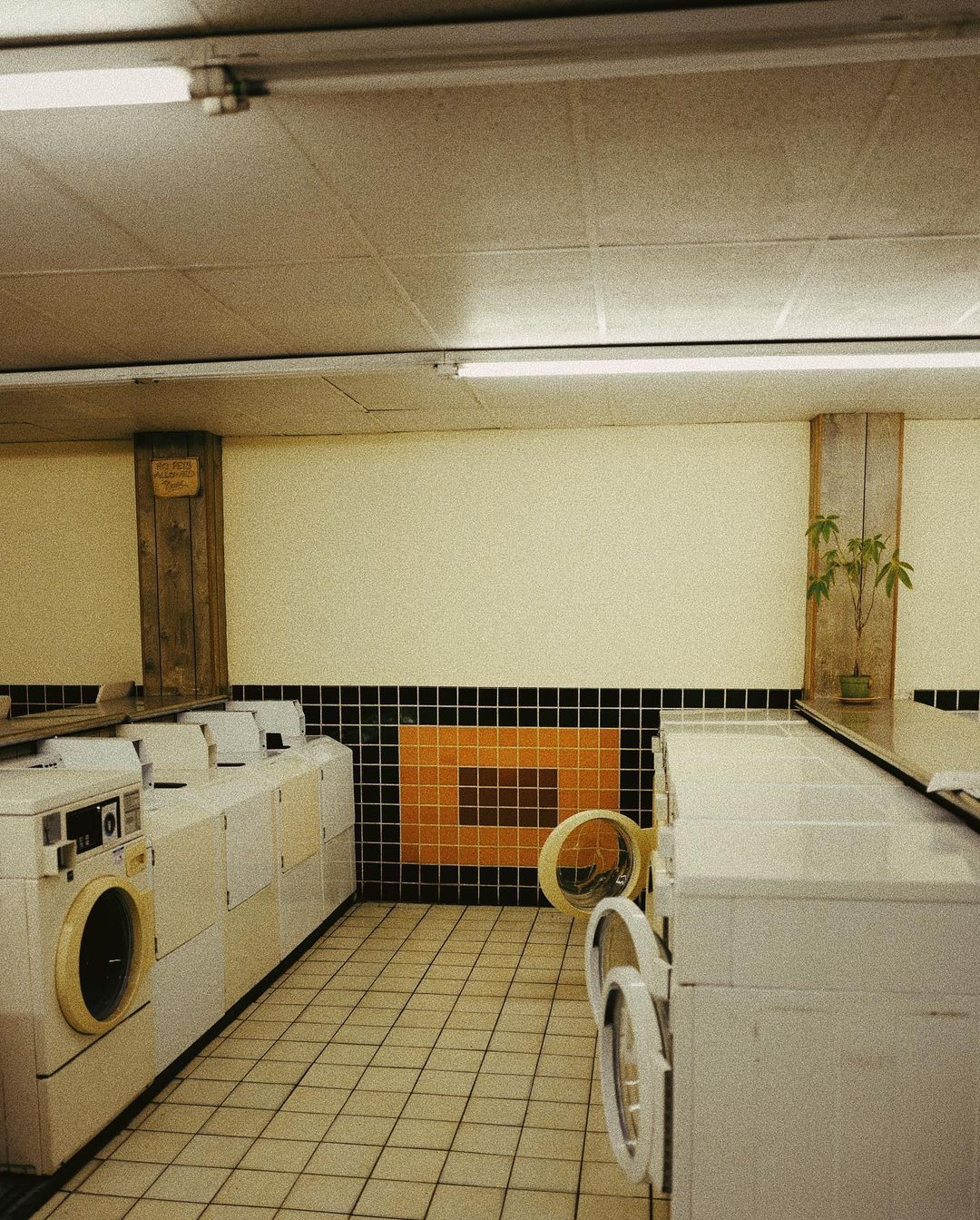 Archillect ID 366537