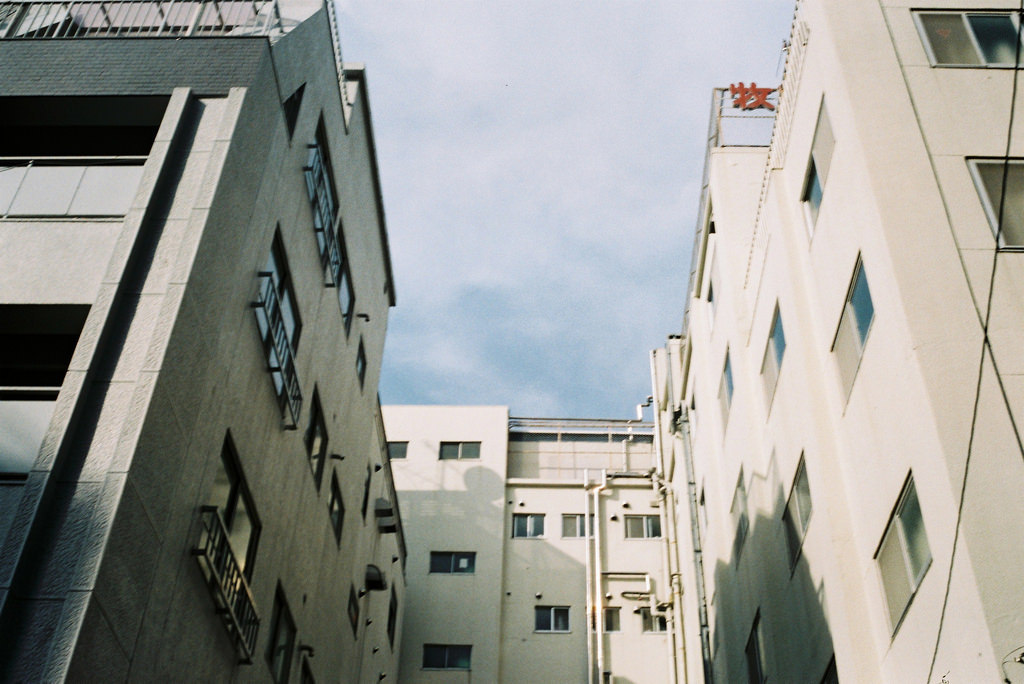 Archillect ID 366606