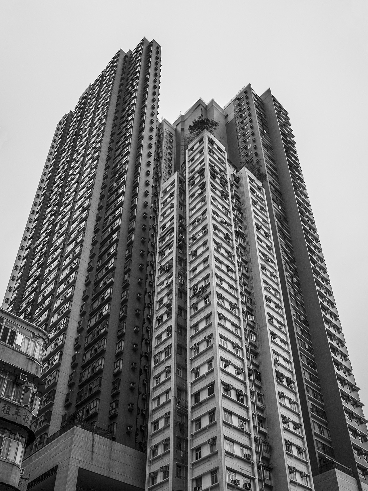 Archillect ID 366671