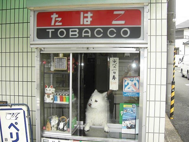 Archillect ID 366843