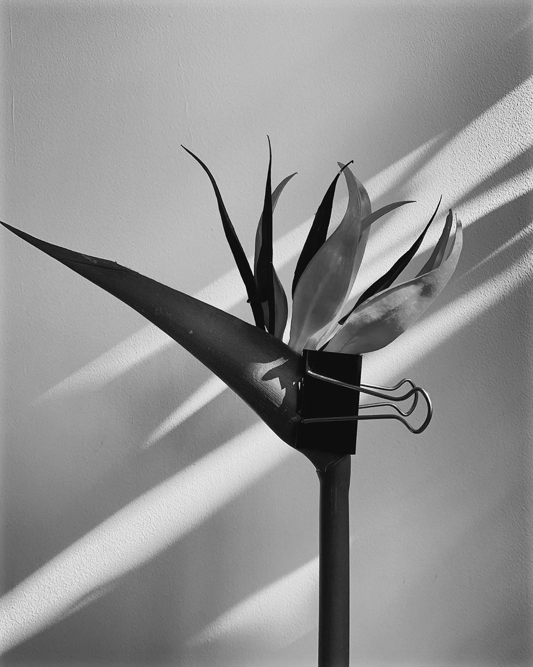 Archillect ID 367166