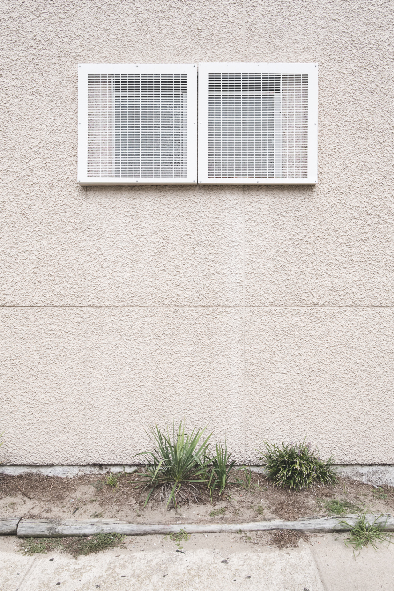 Archillect ID 367459